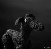 Cute sighthounds in wool. Entirely handmade by Valeria. A nice gift idea or  to be collected or simp