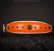 Soft collars, made with fine Italian Leathers.
This series is characterized by  [...]