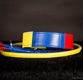 Die normale Form dieser Halsbänder istdenen gewidmet die ein Halsband mit der klassischen Form  vorz