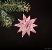 Here are our beautiful decorations for your Christmas and your home
They are made of wood with fant