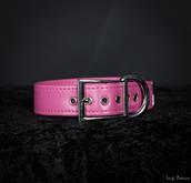 here comes  our easier line, good for dogs with short neck or for small sized puppies. It can be enh