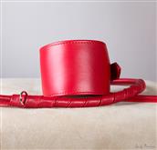 This is our Classic line of collars for greyhound, tall, enveloping and extremely comfortable and re