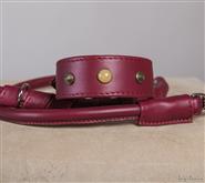 Die normale Form dieser Halsbänder istdenen gewidmet die ein Halsband mit der klassischen Form  vorz