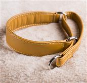 This is our Classic line of collars for greyhound, tall, enveloping and extremely comfortable and re