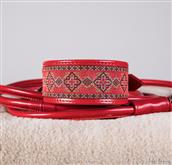 Die Classic-Halsbandlinie für Greyhound, groß, umhüllend und äußerst komfortabel und widerstandsfähi