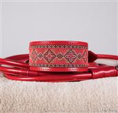 This is our Classic line of collars for greyhound, tall, enveloping and extremely comfortable and re